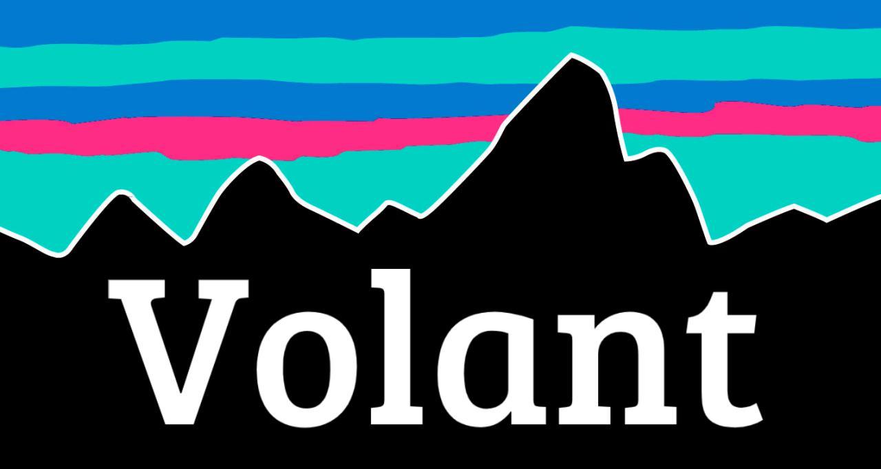 volantLogo